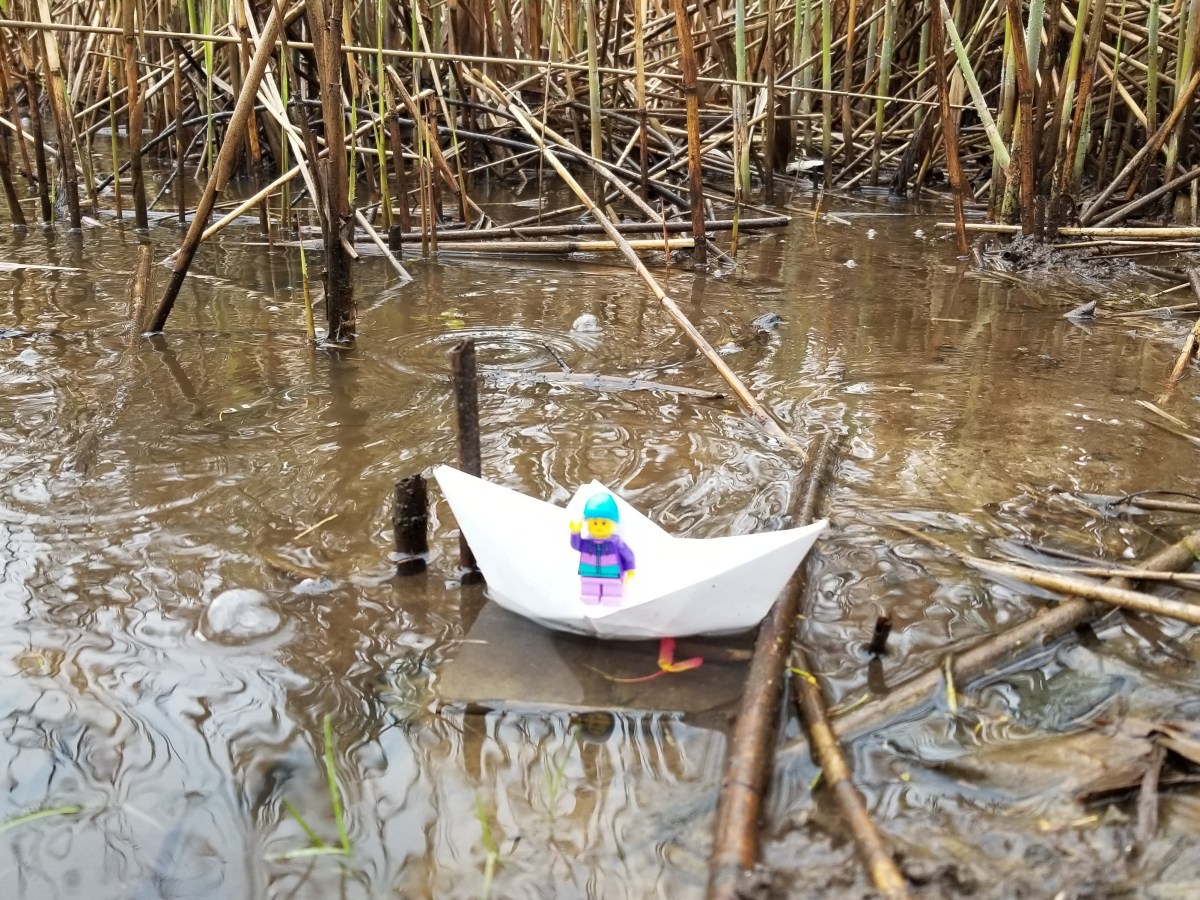 Riding Out the&nbsp;Storm