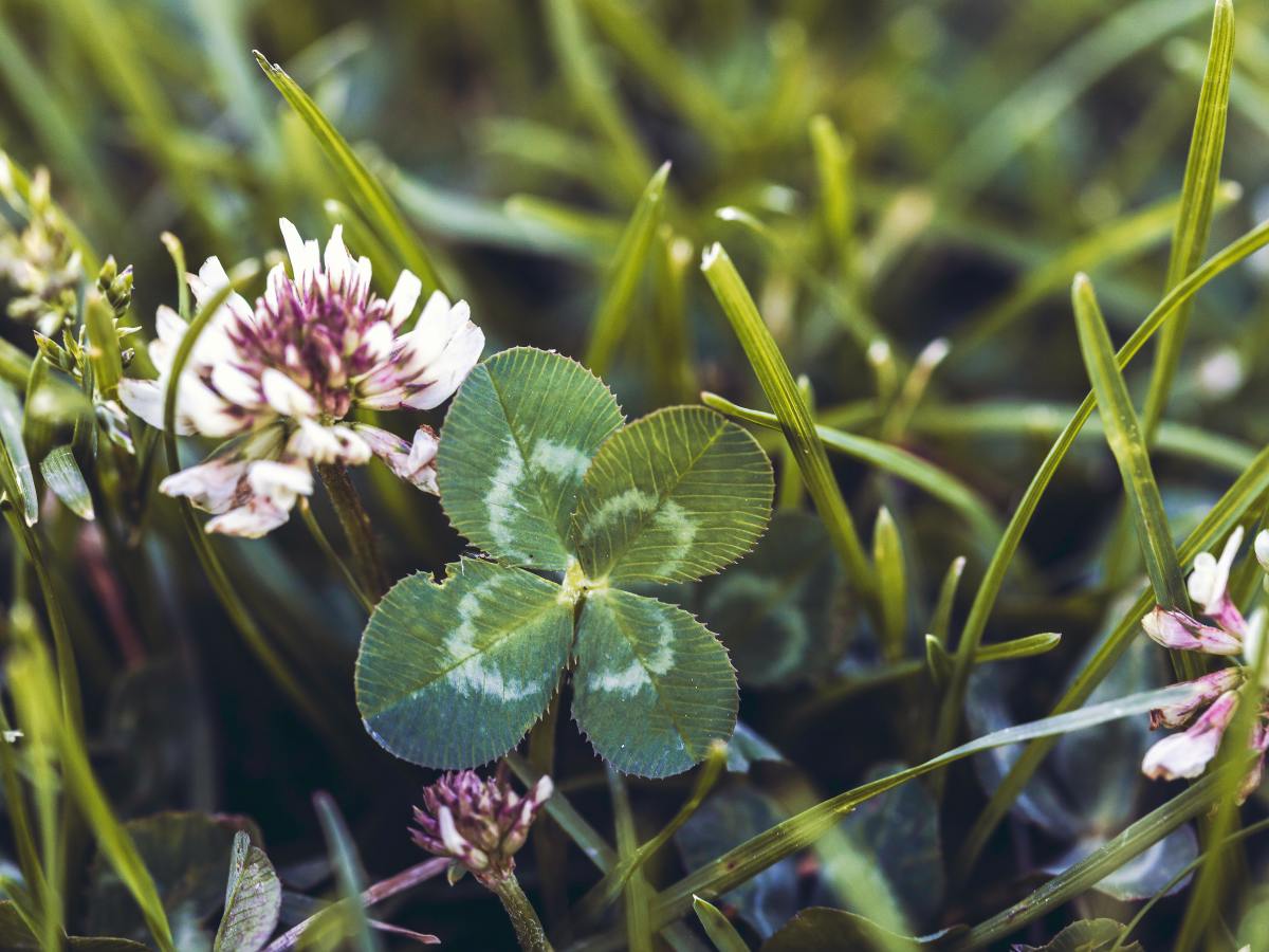 Lucky or Unlucky?  Decide for&nbsp;Yourself