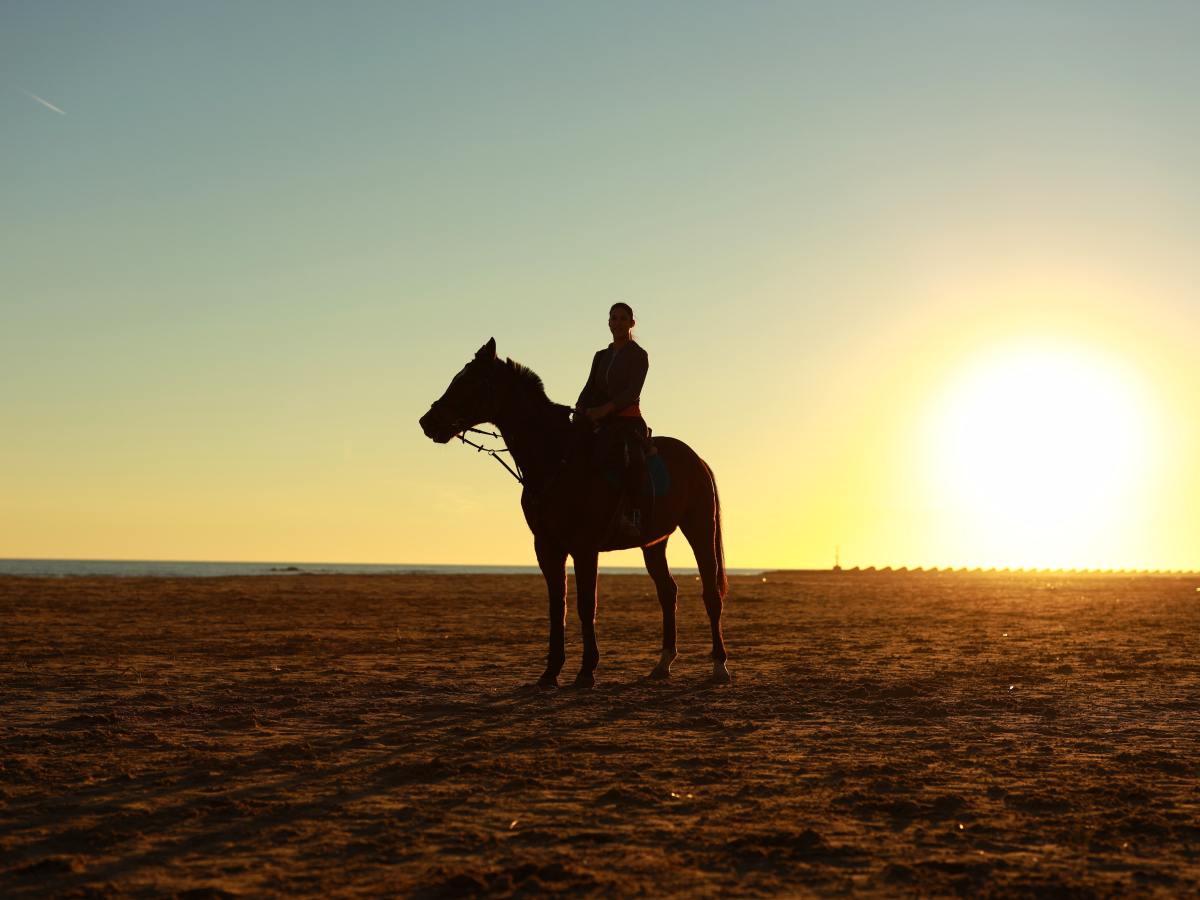 To Be a Dark&nbsp;Horse