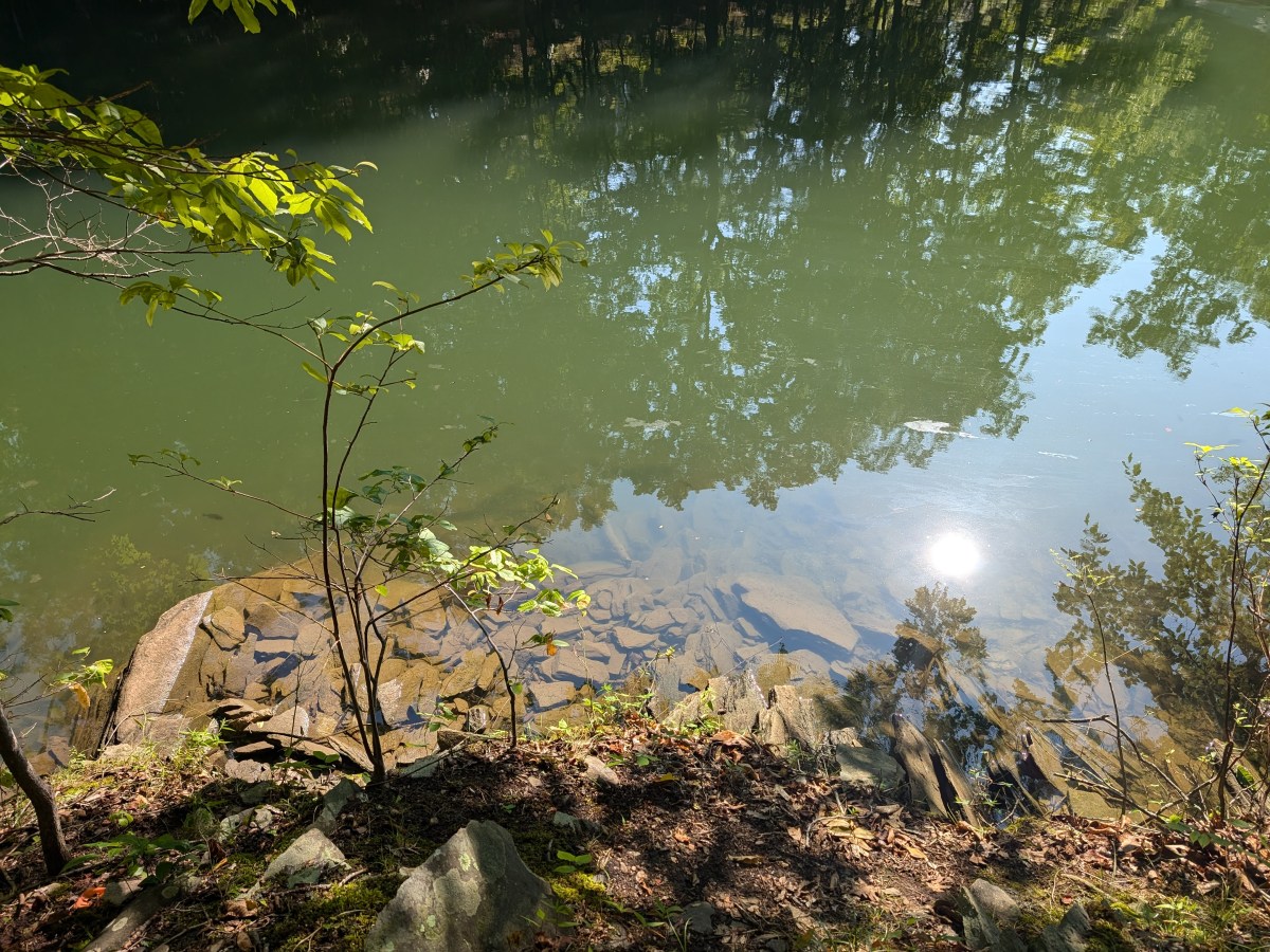 Experiencing Tranquility and Nature’s Beauty at Smith Mountain&nbsp;Lake